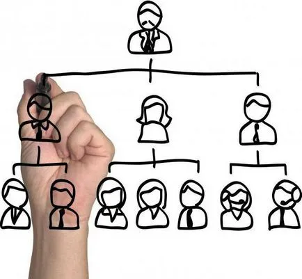 Unități structurale ale tipurilor de organizare