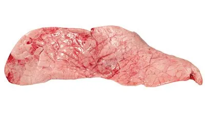 De-produse în dieta câinilor