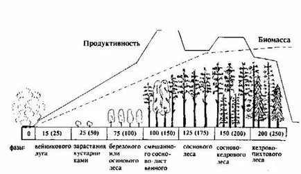 sistem de succesiune ecologic - studopediya