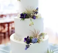 tort de nunta cu o culoare pentru a alege un decor celebrare dulce (torturi de nuntă în viață) tort de nunta cu o culoare pentru a alege un decor dulce celebrare