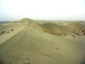 Taklamakan - l