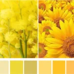 nuante inchise de culoare a părului, vopsea, păr, machiaj pentru brunete, lookcolor (nuanțe) nuante inchise de culoare a părului, vopsea, păr, machiaj pentru brunete, lookcolor