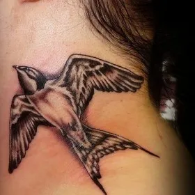 Rândunica sensul tatuaj - semnificația simbolului pentru fete și băieți (simbol) Rândunica sensul tatuaj - semnificația simbolului pentru fete si baieti