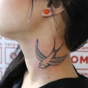 Rândunica sensul tatuaj - semnificația simbolului pentru fete și băieți (simbol) Rândunica sensul tatuaj - semnificația simbolului pentru fete si baieti