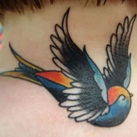 Rândunica sensul tatuaj - semnificația simbolului pentru fete și băieți (simbol) Rândunica sensul tatuaj - semnificația simbolului pentru fete si baieti