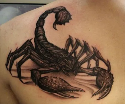 Tatuaj - importanta Scorpion de fete, băieți și - o zonă (scorpion) Tatuaj - importanta Scorpion de fete, băieți și - o zonă
