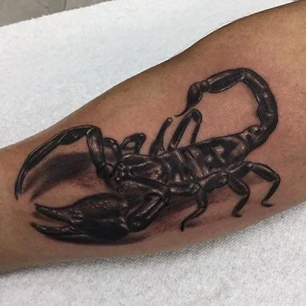 Scorpion tatuaj - valoare și fotografie scorpion tatuaj (foto) Tatuaj scorpion - valoare și fotografie scorpion tatuaj
