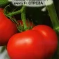Tomate și rachete - descrierea caracteristicilor soiurilor și recenzii