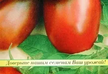 Tomate negru Moor, roșii și comentarii cu fotografii, caracterizarea și descrierea soiului