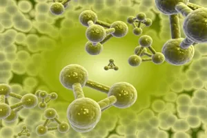 Thymus (timusul), ce este și în cazul în care hormonii și funcția
