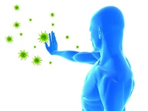 Thymus (timusul), ce este și în cazul în care hormonii și funcția
