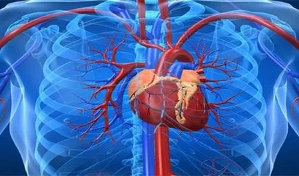 Top 25 lucruri pe care, potrivit statisticilor, oamenii mor mai des (mai mult) Top 25 lucruri pe care, potrivit statisticilor, cele mai multe dintre oameni mor