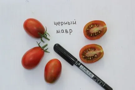 Tomate „Black Moor“ descrierea soiului, recenzii, caracteristici (tomate) Tomate „Black Moor“ Descrierea soiului, recenzii, caietul de sarcini