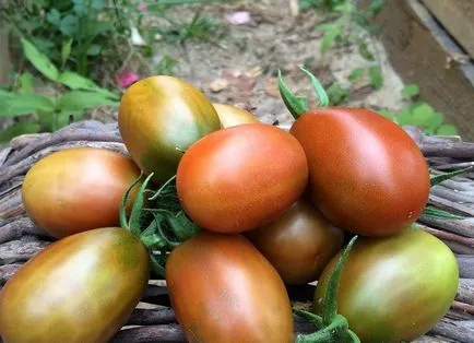 Tomate negru Moor, roșii și comentarii cu fotografii, caracterizarea și descrierea soiului