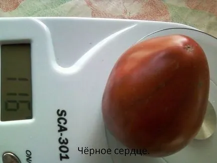 Tomate carne de vită inima caracterizarea și descrierea soiului, soi (soi) Tomate carne de vită inima caracterizarea și descrierea soiului, soi