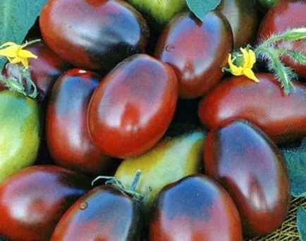 Tomate „Black Moor“ descriere a soiului, recenzii, caietul de sarcini (negru) Tomate „Black Moor“ Descrierea soiului, recenzii, caietul de sarcini