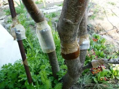 Cele mai bune trei modele de prindere în capcană zona cu mâinile lor (lor) trei cele mai bune modele de zona capturării cu propriile lor mâini