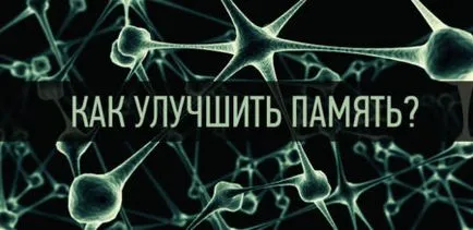 Antrenează de memorie și de a îmbunătăți attentiveness (mindfulness) Noi tren de memorie și de a îmbunătăți attentiveness