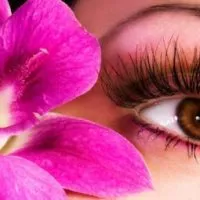 Mascara L'Oreal genelor descriere și efectul noilor elemente