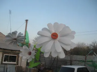 Invatarea mușețel tinkering din sticle de plastic (sticle de plastic mușețel cu mâinile) Învățarea tinkering mușețel din sticle de plastic