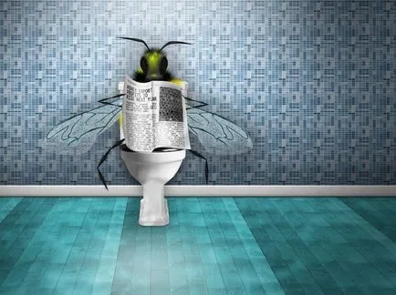 Pansamente chimice acoperi, remedii populare pentru a combate (mijloace) Pansamente chimice acoperi, remedii populare pentru combaterea