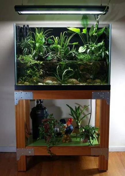 Stand cu mâinile fotografie acvariu și desen (Aquarium) Stand cu mâinile fotografii și desene acvariu