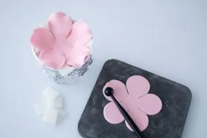 Decorare chit cu mâinile lor pentru începători (mâini) chit de decorare cu mâinile lor pentru începători