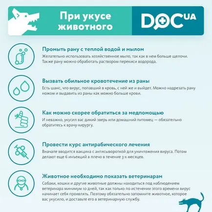 Muscata de un câine ce să facă primul ajutor, decât pentru tratarea câinilor și cum să trateze o muscatura (de a face) Muscata de un câine ce să facă primul ajutor, decât pentru a trata muscaturilor de caine si cum sa trateze