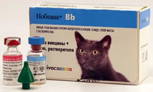 Nobivac vaccin pentru pisici - de revizuire, manual, pret