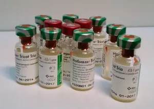 Nobivac vaccin pentru pisici - de revizuire, manual, pret