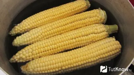 porumb fiert - calorii, proprietăți utile și rău