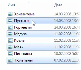 Selectați fișiere și foldere