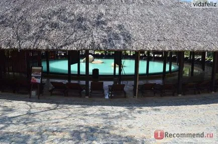 Vietnam, Nha Trang - „recenzie, voi 3 fotografii, o mulțime de text