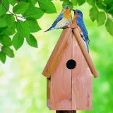 ateliere de curatenie si intretinere afara site-ului mână vizita cursuri de master pentru orice tip de pagină de eveniment (cursuri de master pentru bărbați care vizitează cursuri de master în vacanță minunată. BINE ATI VENIT! p.1) ateliere de lucru din afara site-Maid mână vizitează cursuri de master pentru orice tip de pagină de eveniment