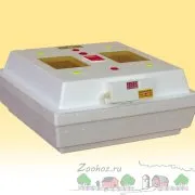 Cultivarea și îngrijirea pentru pui broiler (pui de carne) Cultivarea și îngrijirea pentru pui broiler