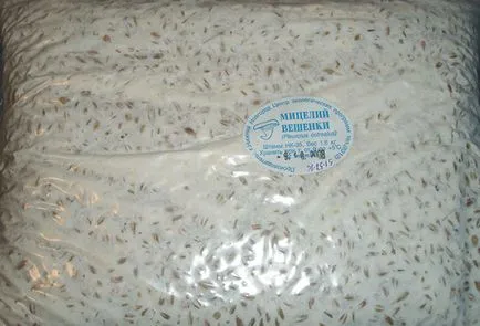 cultivarea ciupercilor în țară obtinerea recolta pe tot parcursul anului
