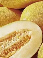 Ce alimente contin carbohidrati putin
