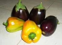 Cultivarea răsaduri de vinete și ardei