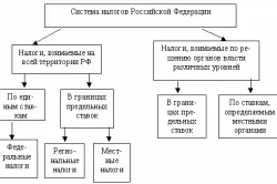 Ce buget a plătit impozitul pe venitul personal