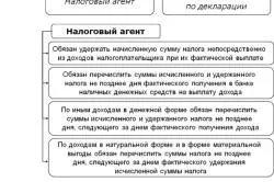 Ce buget a plătit impozitul pe venitul personal