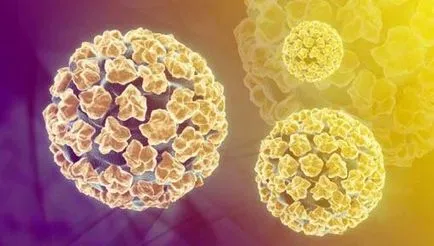 papilomavirus uman, cauza a modului în care se produce infecție, simptome la femei (metode de diagnostic) papilomavirus uman, cauza a modului în care se produce infecție, simptome la femei
