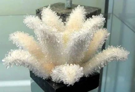 Creșterea cristalului la recomandări la domiciliu (cristale) Creșterea cristalului la recomandări la domiciliu