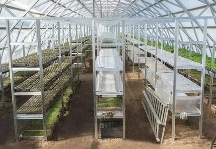 Cultivarea de verdeață în seră pentru tine si ca o afacere (auto) Cultivarea de verdeață în seră pentru tine și ca o afacere