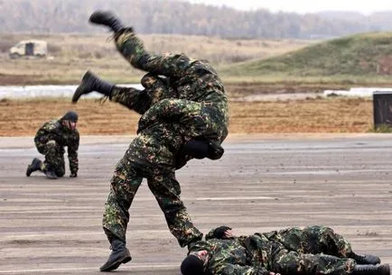 Trupele interne din România