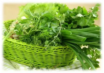 Cultivarea verdeață în seră ca o afacere de vânzare pătrunjel, mărar și usturoi în timpul iernii, cum să cultive (verde) Cultivarea de verdeață în seră ca o afacere de vânzare pătrunjel, mărar și usturoi în timpul iernii, cum să crească
