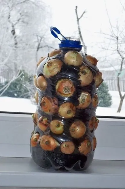 ceapa Cultivarea cresc o grădină!