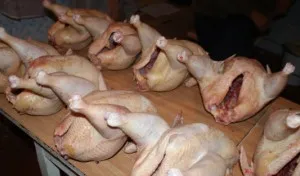 Vrăbii de iarnă sau păsări alimentatoare (alimentatoare) Vrăbii în alimentatoare de iarnă sau de păsări