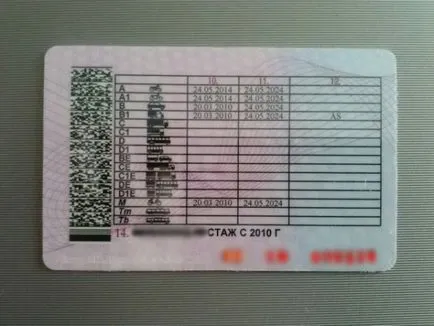 fotografie permis de conducere a noului eșantion (ID) fotografie permis de conducere a noului eșantion