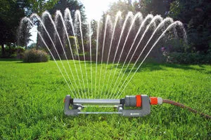 Cum de a planta iarba de gazon Cum de a planta iarba de gazon