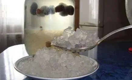 ciuperca Marine, care este ciuperca Marine, care este